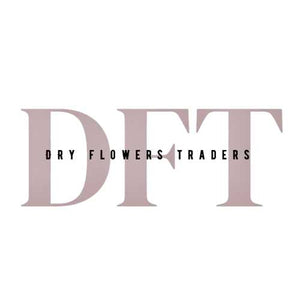 Dry Flowers Traders