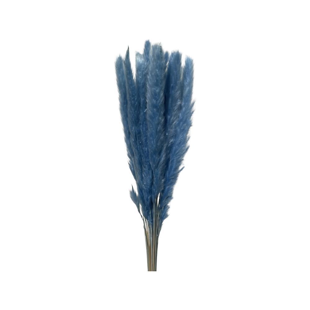 Mini Pampas/Brush the Dust (Cortaderia selloana) - Dry Flowers Traders | Dried and Preserved Flowers
