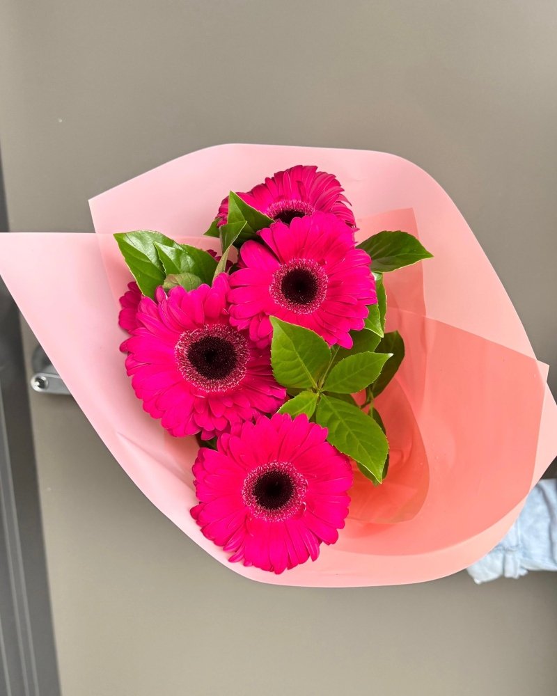 Fresh Gerbera - Dry Flowers Traders | fresh flowers