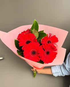 Fresh Gerbera - Dry Flowers Traders | fresh flowers