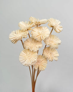 Sola Flower - Dry Flowers Traders | Artificial Flower