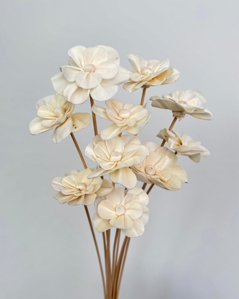 Sola Flower - Dry Flowers Traders | Artificial Flower