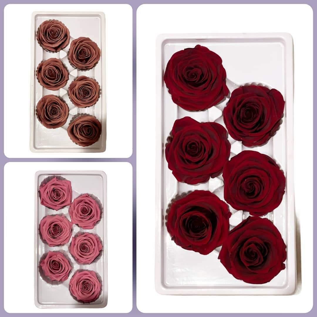 Preserved Roses Box - Dry Flowers Traders