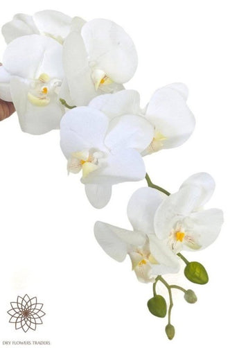 Artificial Orchid 8 Blooms - Dry Flowers Traders