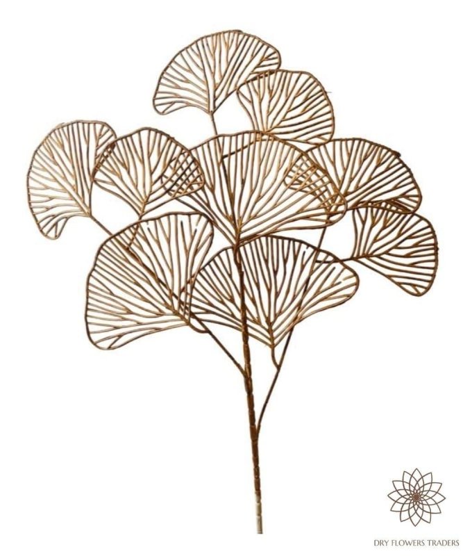 Ginko Leafs (Artificial plastic) - Dry Flowers Traders