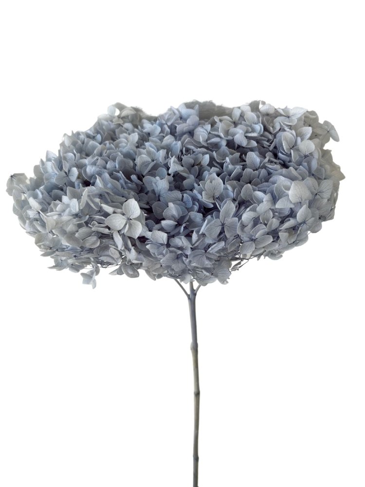 High Density Preserved Flower Used Not Easy To Slag White Dry Flower floral  Foam Brick