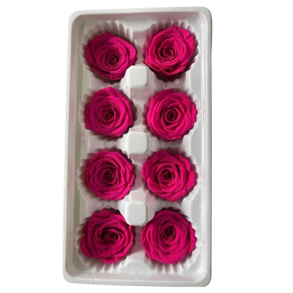 Preserved Roses Box - Dry Flowers Traders | Dried and Preserved Flowers