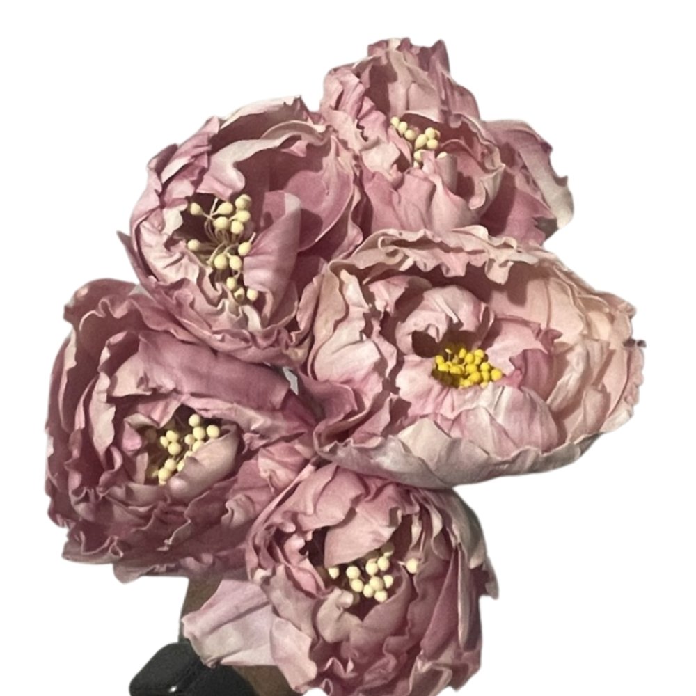 Peony rose(5stems) - Dry Flowers Traders |
