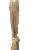 Natural Broom - Dry Flowers Traders |