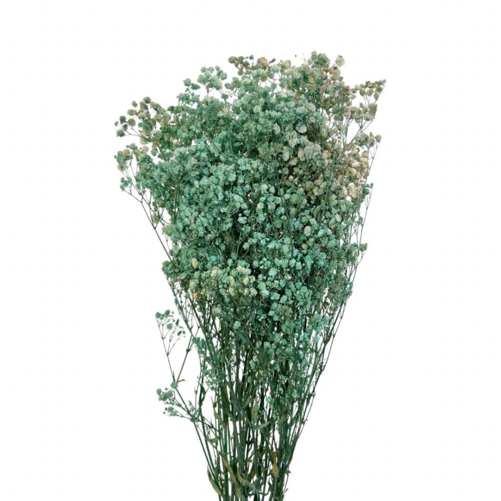 Dried Baby's Breath Flowers 70cm l Wholesale Dried Gypsophila UK – Dried  Flowers Decor