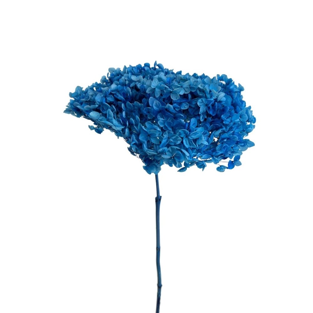 Ausyst Office Supplies 2023 20Pcs Transparent Dried Flower