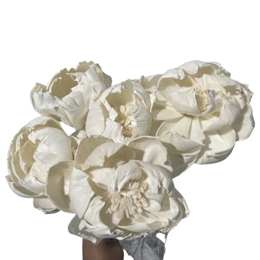 Peony rose(5stems) - Dry Flowers Traders |