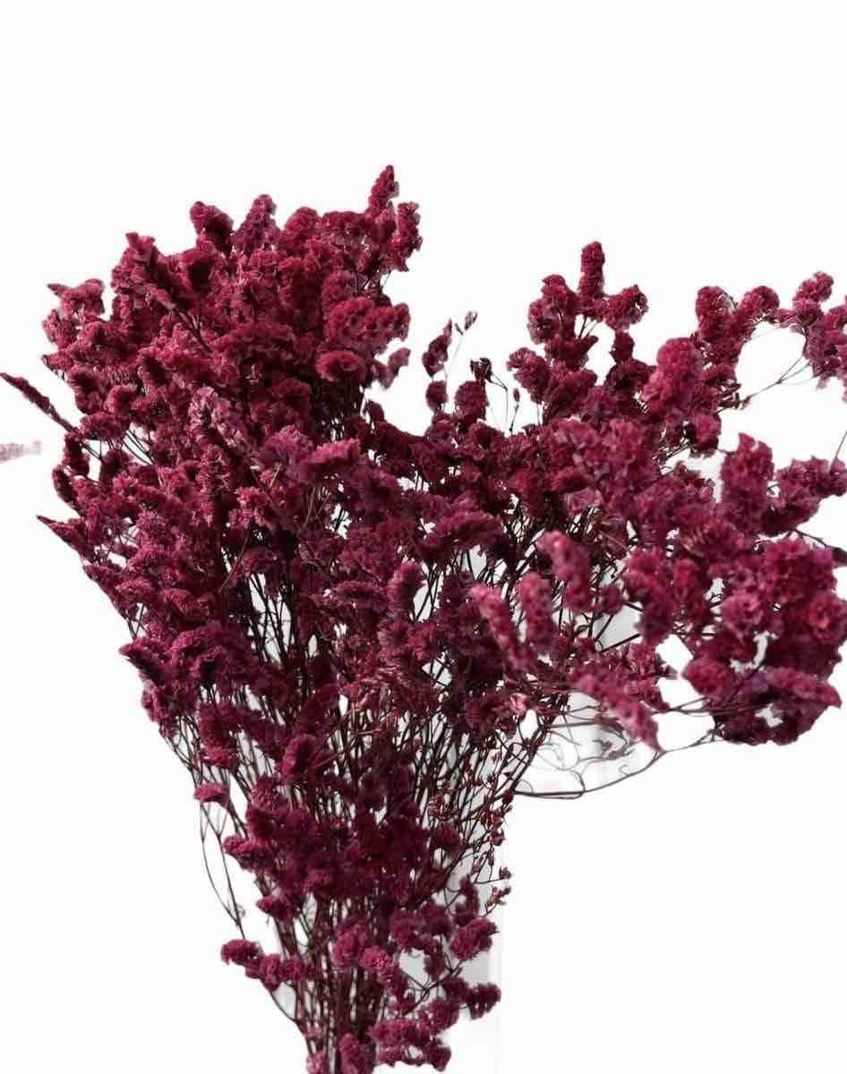 Misty (Sea lavender)-Limonium sinuatum - Dry Flowers Traders | Dried and Preserved Flowers