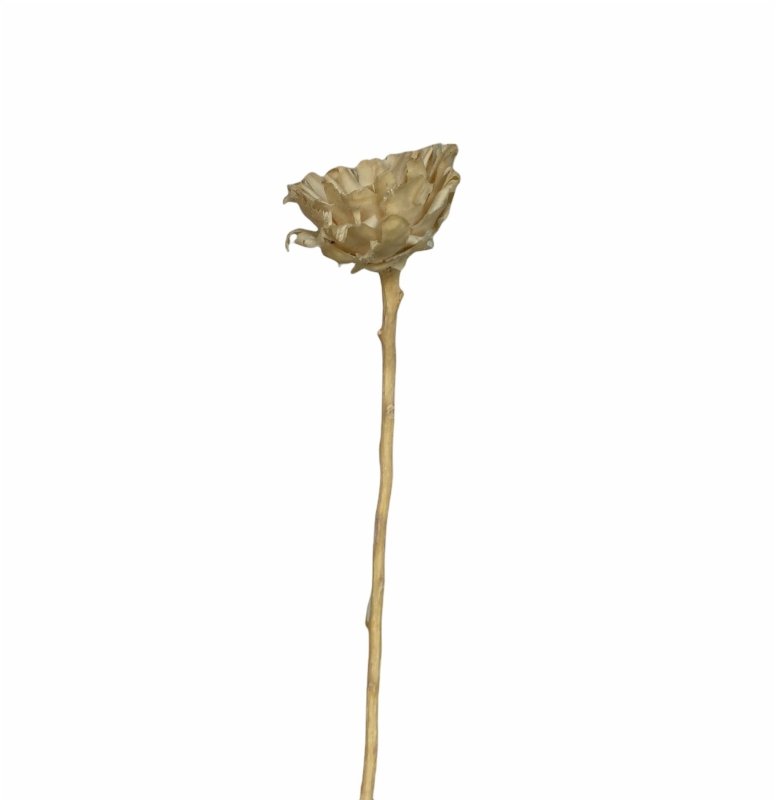Sunflower (Helianthus) - Dry Flowers Traders | Dried Flowers