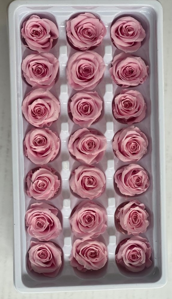 Preserved Roses Box - Dry Flowers Traders | Dried and Preserved Flowers