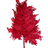 Mini Leather Fern (Rumohra adiantiformis) - Dry Flowers Traders | Dried and Preserved Flowers