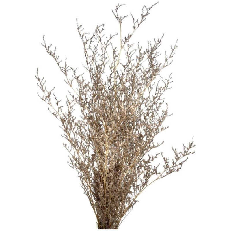Misty (Sea lavender)-Limonium sinuatum - Dry Flowers Traders