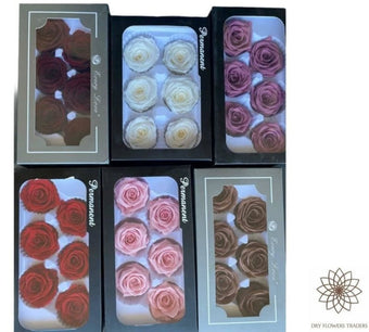 Preserved Roses Box - Dry Flowers Traders