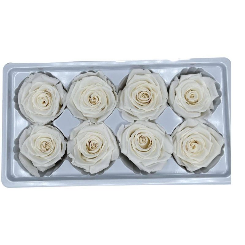 Preserved Roses Box - Dry Flowers Traders