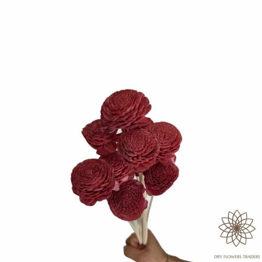 Ranunculus Asiaticus - Dry Flowers Traders