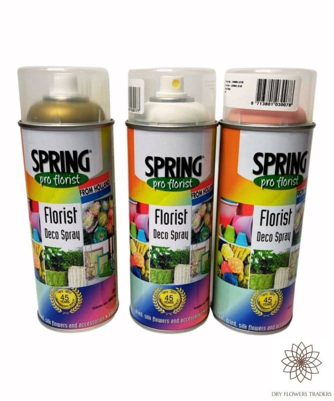 Florist Deco Spray Paint 400 ml - Dry Flowers Traders