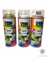 Florist Deco Spray Paint 400 ml - Dry Flowers Traders